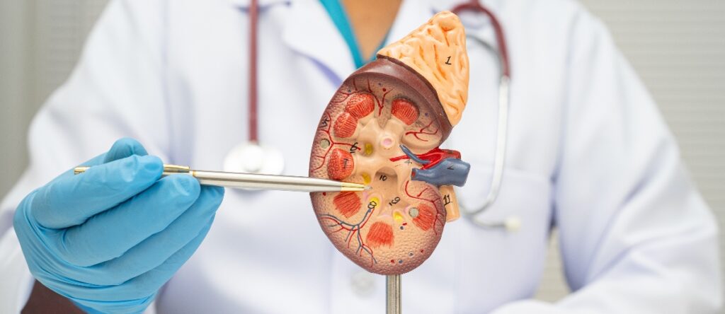 visita urologica rho